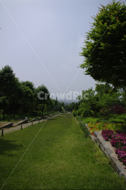초록,나무,잎,식물,plant,계절,봄,spring,하늘,자연,풍경,nature,landscape,grass,잔디