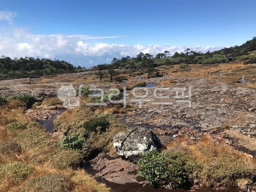 구름,배경,풍경,바탕화면,길,돌,바위,지면,자연,옥외,nature,outdoors,ground,고원,산정상