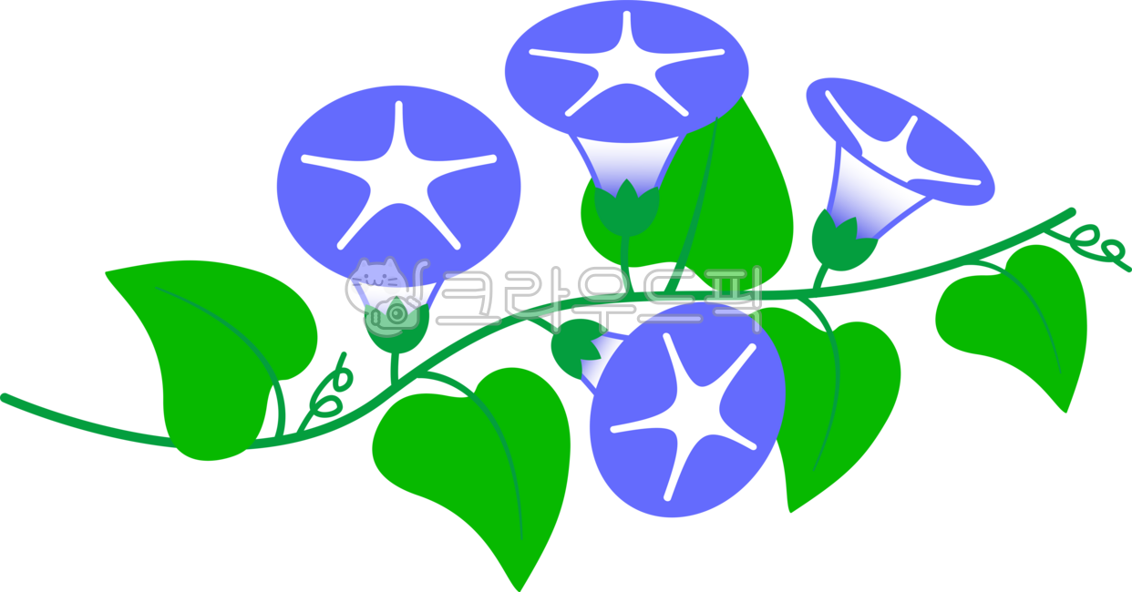 나팔꽃,꽃,여름꽃,모닝글로리,아침에피는꽃,나팔꽃일러스트,나팔꽃그림,나팔꽃이미지,나팔꽃요소,여름이미지,아침꽃,흔한꽃,심플한그림,단순한꽃,길거리꽃,담장꽃,넝쿨꽃,담장나팔꽃,꽃잎,잎사귀,식물,자연,morningglory,plant,flower,illustration