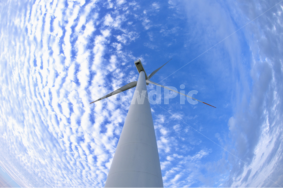 풍력발전기,발전기,푸른,파란,하늘,구름,어안,어안렌즈,왜곡,풍경,경치,로우앵글,배경,백그라운드,청명한,맑은,선명한,웅장한,여름,바람,쾌청