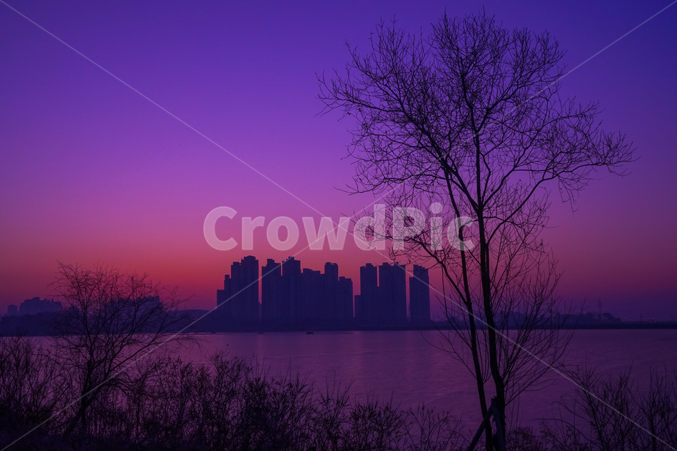 여명,겨울,호수,나무,감성,풍경,도시,풍경,city,landscape,식물,자연,plants,nature,나무,trees,wood,outdoors,옥외,silhouette,실루엣,sky,하늘,dawn,새벽,sunset,일몰,dusk,황혼,red sky,붉은 하늘