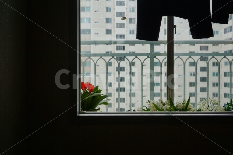 흐린날,흐림,빨래,건조,베란다,발코니,창밖,그림자,실루엣,프레임