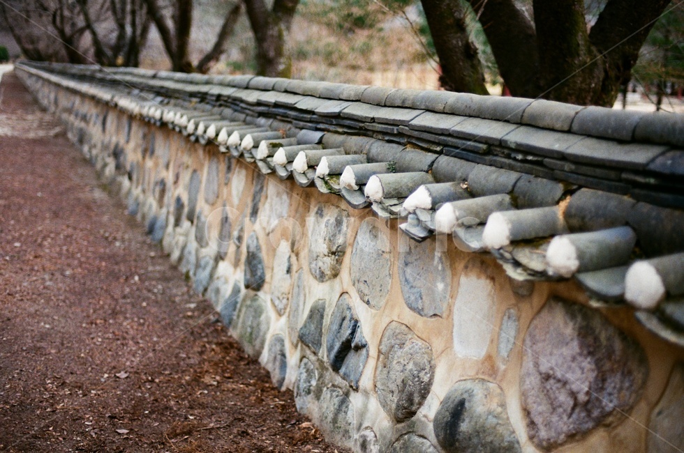 담벼락,기와담,담장,돌담,기와,기와담장,한국,전통,돌,건축,옛날,old,traditional,korea,한국전통,한국문화,건축물,건물외관,architecture,asian,koreantraditional,exterior,building,필름카메라,필카,film,분위기,배경화면