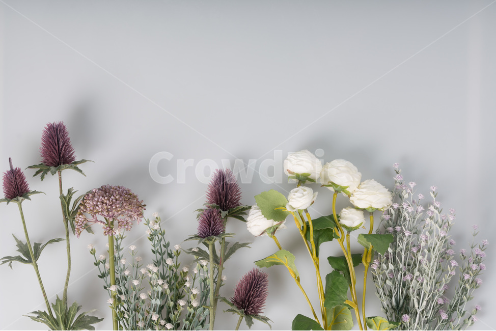 흰색,자연,녹색,장식,봄,식물,잎,디자인,꽃다발,결혼,계절,여름,야생화,줄기,신선하다,아름답다,향기,꽃,안개꽃,만개,나뭇잎,생명,부케,고백,사랑,선물,프로포즈,bouquetflowerbouquetlove,marriage,seasonal,summer,wildflower,stem,fresh,fragrance,petal,bloom,leaf,flower,life,bouquet,꽃,flower
