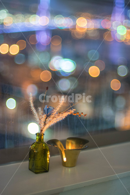 부산,야경,풍경,자연,감성,카페,영도,꽃,야경,밤,풍경,nightscape,night,landscape,실내용화초,화분,화초,house plant,감성,sensible,feeling,lighting,조명,glass,유리