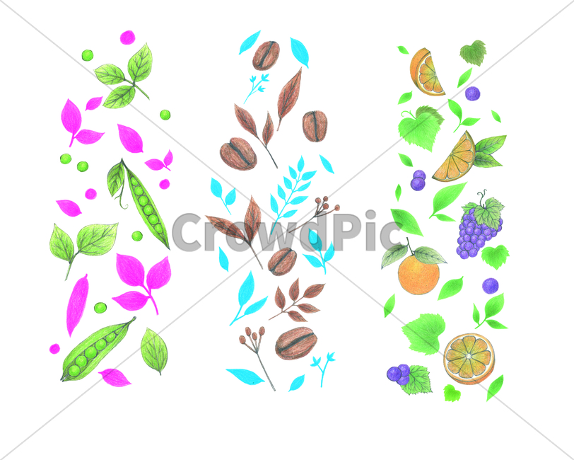 handdrawing,painting,cute,lovely,adorable,charming,sweet,leaf,foliage,꽃,손그림,완두콩,pea,콩,pease,petitspois,art,미술,graphics,pattern,무늬,floraldesign,포도,grape,플로랄디자인,커피콩,오렌지,orange,과일,coffeebean,greencoffee,색연필,coloredpencil,fruit,그래픽,일러스트레이션,graphic,illustration