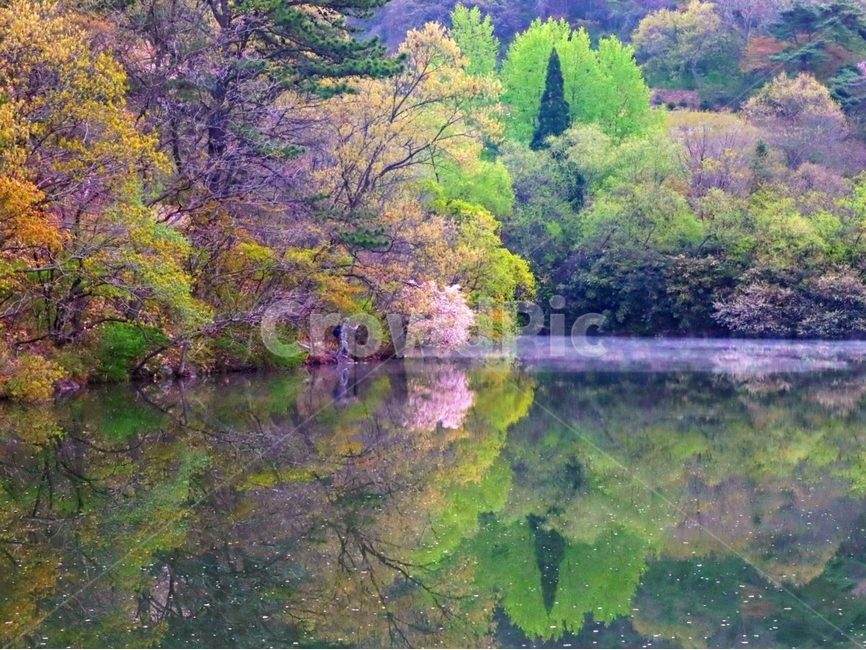 봄,반영,풍경,화순군,세량리,자연,풍경,nature,landscape,한국자연풍경,한국자연경관,korea nature landscape,water,물,outdoors,옥외,land,땅