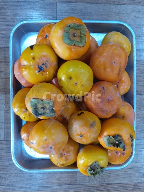 음식,식물,감,plant,열매,과일,열매,fruit