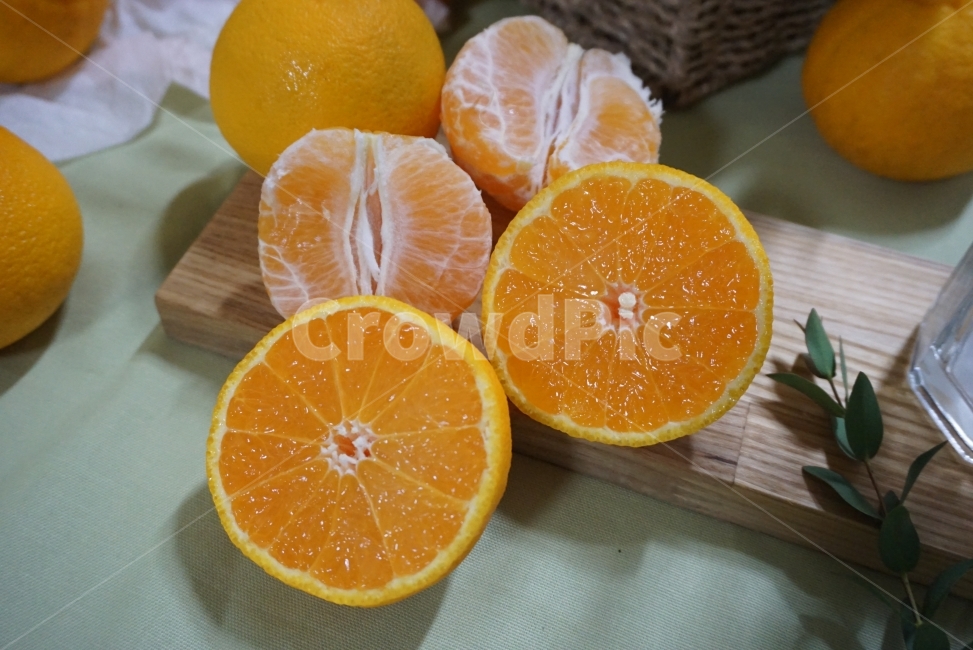 귤,귤사진,과일,과일사진,한라봉,한라봉사진,제주한라봉,맛있는과일,감성,감성사진,느낌사진,음식,식재료,요리,food,cook,meal,dishes,food reserves,과일,열매,fruit