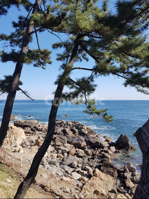 바다,바닷가,seaside,coast,beach,강원도,sea,푸른바다