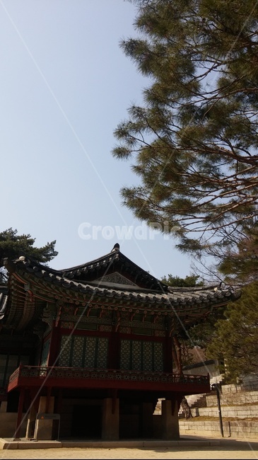 창경궁,한국,고궁,풍경,건축,한국전통,한국문화,korean traditional,korean culture,건축물,건물외관,exterior,building,structure,architecture,construction