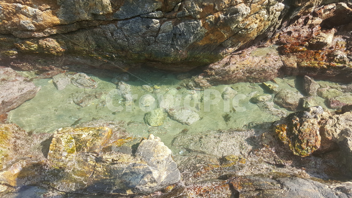 자연,바다,nature,sea,water,물,바위사이,자연,풍경,nature,landscape,outdoors,옥외,ocean,대양,sea life,해양 생물,reef,암초,animal,동물