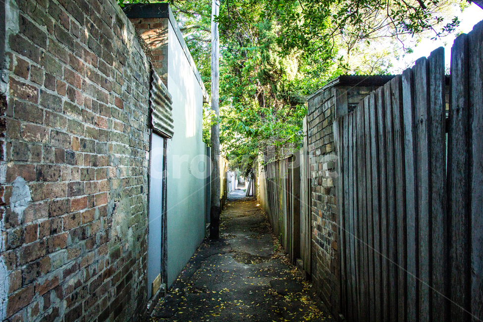 골목,나무,빈티지,초록,벽,배경화면,배경,골목길,alley,road,도로,street,거리,building,건물,town,도시,city,시티,urban,어반,alleyway
