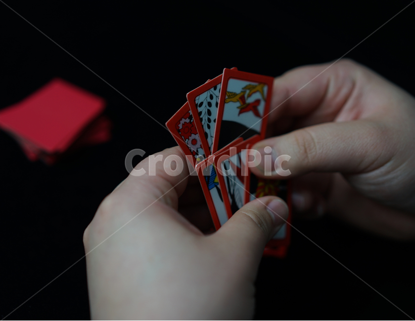 화투,화투패,고스톱,도박,게임,놀이,손가락,손동작,노름,하나후다,맞고,섯다,화투장,사람,인물,인간,human,person,신체일부,몸,body,게임,오락,놀이,game,play