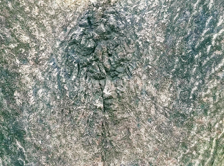 나무,형상,질감,wood,tree,나무얼굴,얼굴형상