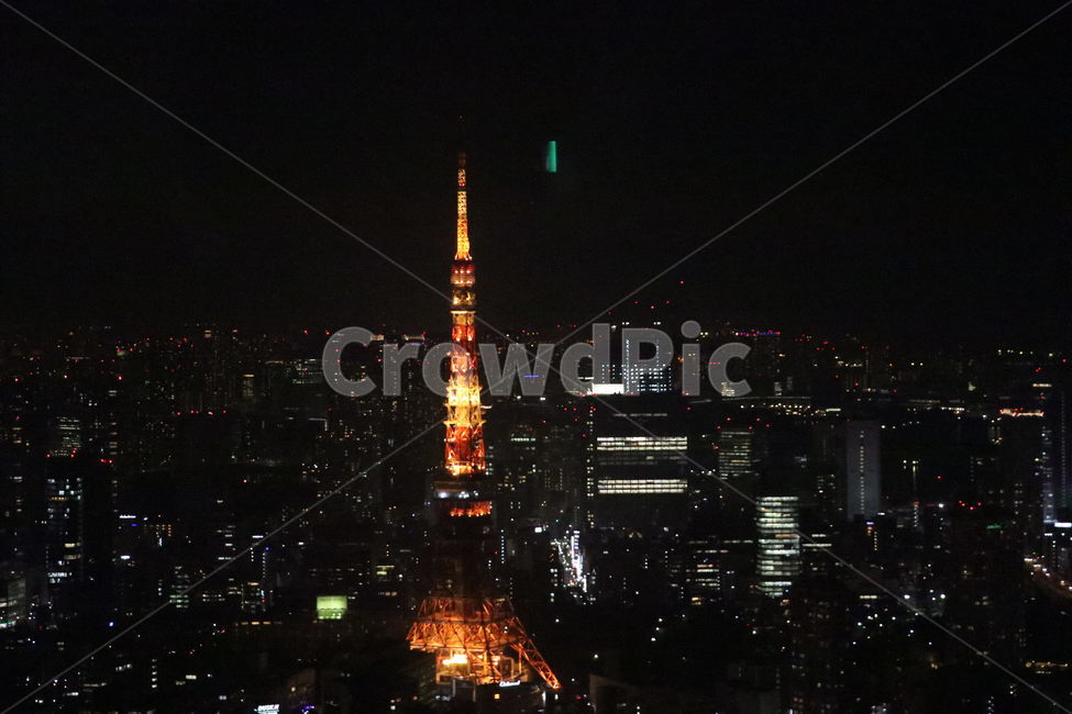 일본,도쿄타워,야경,저녁,타워,전망대,tokyo,tokyotower