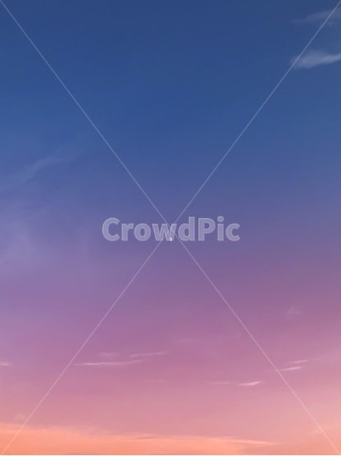 sky,moon,하늘,달,구름,cloud,보라색,분홍색,파란색,푸른하늘,붉은하늘,보랏빛하늘,해질녘,자연,풍경,purple,pink,feelingofcolor,color,colorsense,노을,감성,색깔,색감,색채,배경화면,배경,폰배경,자연,풍경,nature,landscape,야경,밤,nightscape,night,색깔,색상,색채,색감,color sense,color sensitivity,feeling of color,outdoors,옥외