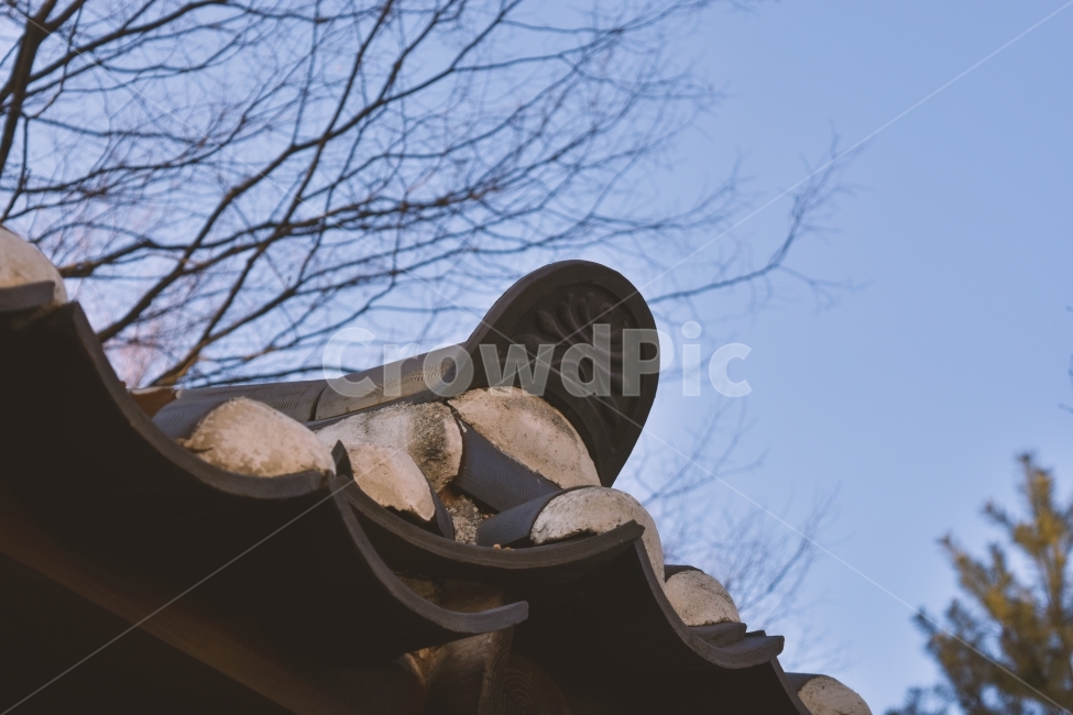 고궁,기왓장,포토,풍경,빈티지,한국전통,한국문화,korean traditional,korean culture,건축물,건물외관,exterior,building,structure,architecture,construction
