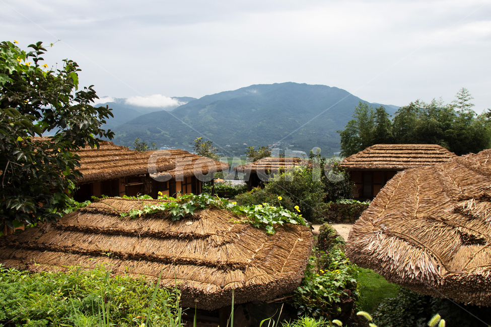 하늘,sky,land,땅,산,나무,경치,자연경관,자연경치,mountain,mountains,tree,grassland,field,들,시골,시골경관,시골경치,들판,자연배경,farm,scene,natureview,잔디밭,초가집,초가마을,초가,나무집,countryside,thatchedhouse,rondavel,traditionalthatchedhouse,astrawthatchedroof,villageofthatchedhouses,building,건물,outdoors,옥외,nature,자연,자연,풍경,nature,landscape,한국전통,한국문화,korean traditional,korean culture