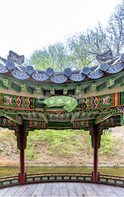 pond,Palace,tree,sperm,spring,Cultural Heritage,outdoors,viewing pavilion,plant,Changdeokgung Palace,garden,traditional architecture,old palace,support