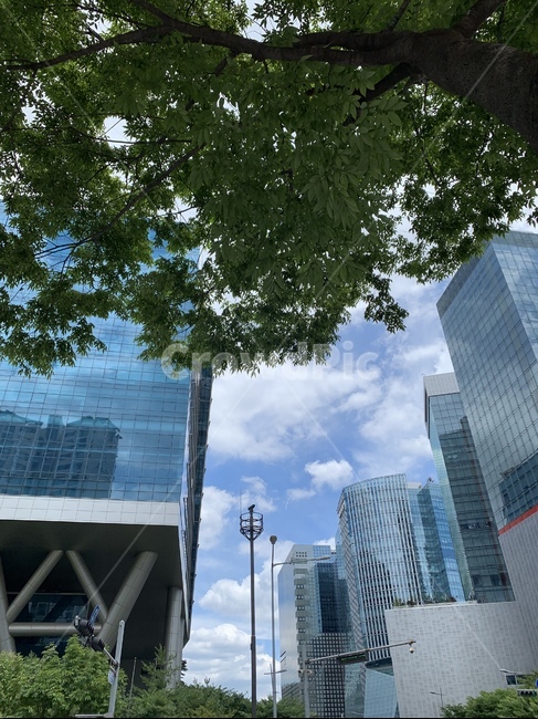 하늘,자연,풍경,구름,날씨,바람,맑음,흐림,officebuilding,사무실건물,building,건물,urban,어반,city,시티,town,도시,highrise,고층건물