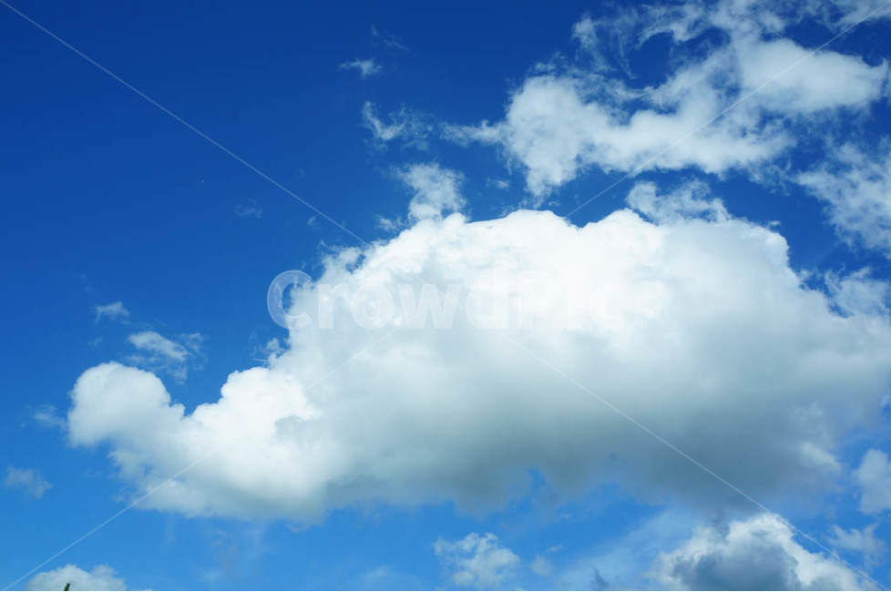 하늘,파랑,푸른하늘,자연,sky,bluesky,구름,cloud,거북이