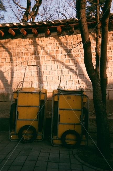 수레,노랑,풍경,겨울,winter,yellow,필름,film,짝,산책,길,산책길,전통