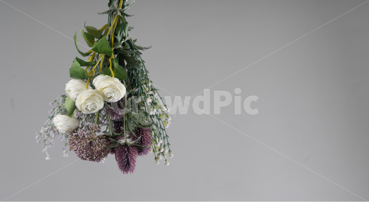 흰색,자연,녹색,장식,봄,식물,잎,디자인,꽃다발,결혼,계절,여름,야생화,줄기,신선하다,아름답다,향기,꽃,안개꽃,만개,나뭇잎,생명,부케,고백,사랑,선물,프로포즈,bouquetflowerbouquetlove,marriage,seasonal,summer,wildflower,stem,fresh,fragrance,petal,bloom,leaf,flower,life,bouquet,꽃,flower