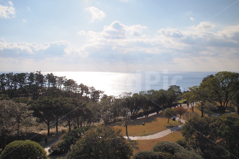 바다,정원,제주,중문,아침,평화로운,고요한,자연,풍경,nature,landscape,한국자연풍경,한국자연경관,korea nature landscape,제주도,jeju,jeju island,outdoors,옥외