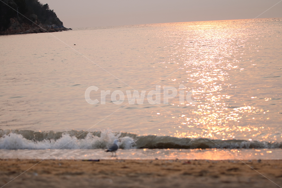 노을,을왕리,해변,갈매기,파도,해변,바다,beach,sea