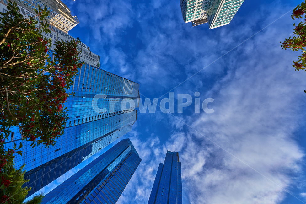 부산,건물,빌딩,하늘,구름,반사,도시,건축물,건물외관,exterior,building,structure,architecture,construction