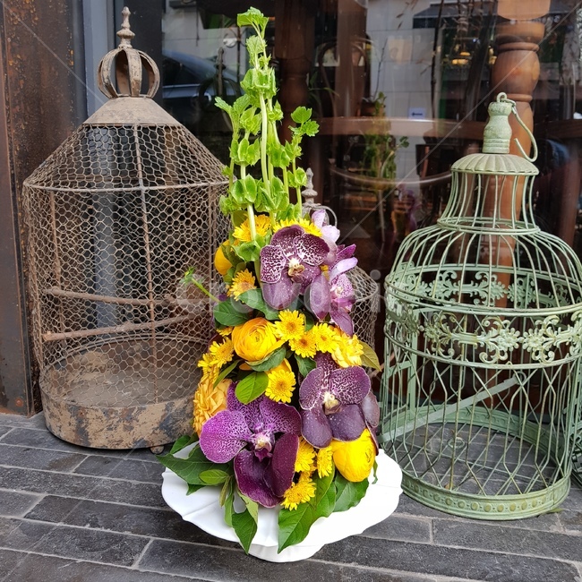 plant,식물,blossom,flower,flowerarrangement,corntree,naturalflower,frenchflower,florist,wedding,ceremony