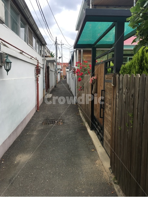 골목길,골목,담장,벽,alley,wall
