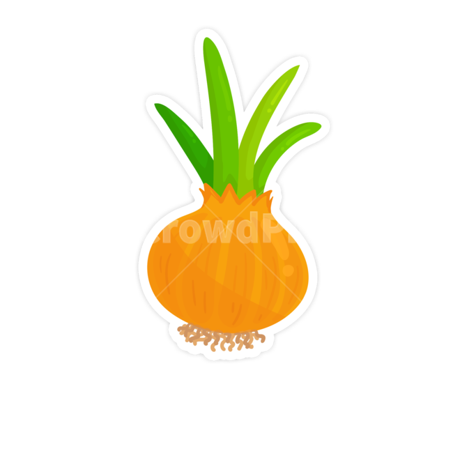 plant,식물,food,음식,vegetable,양파,채소,야채,음식,식재료,요리,food,cook,meal,dishes,food reserves,그래픽,일러스트레이션,graphic,illustration