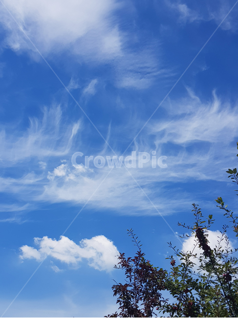 하늘,파랑색,구름,sky,cloud,분위기,푸른