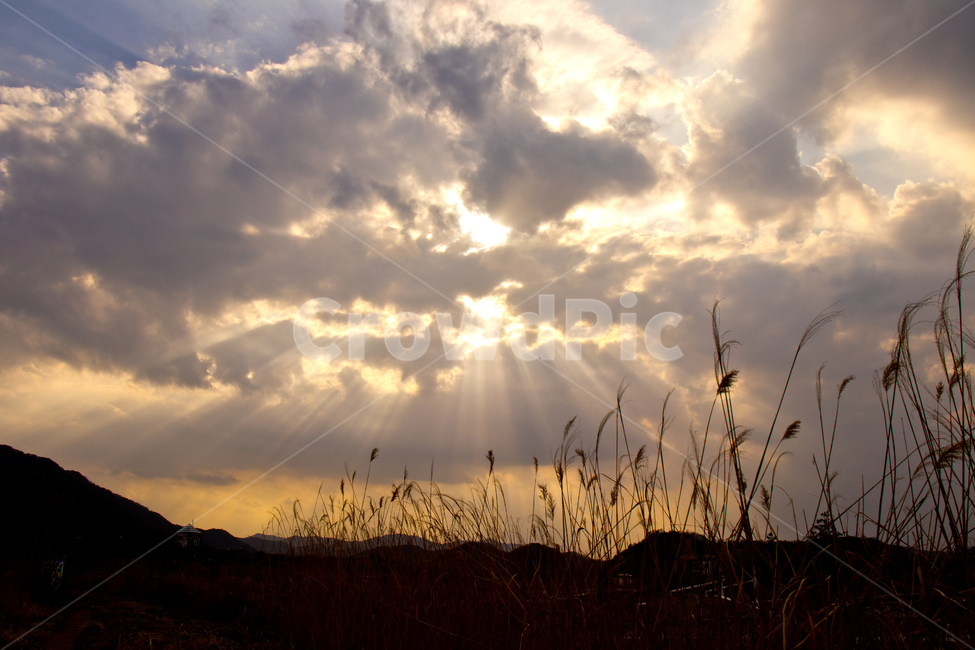 beam,evening glow,tindle,tyndall,scenery,sun,scene,cloud,superb view,beautiful,mountain,view,Reed,light effect,sight,Tindle phenomenon,sky,natural,nature,reed,tyndalleffect,Lighting phenomenon,dinner,shine,outdoor,sunlight,sunbeam,Tyndall effect,light,sun