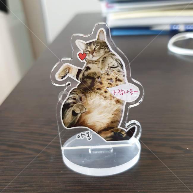 고양이,아크릴스탠드,굿즈,상품,캐릭터상품,포토샵편집,동물,animal,포유류,mammal,고양이,cat,kitten,kitty