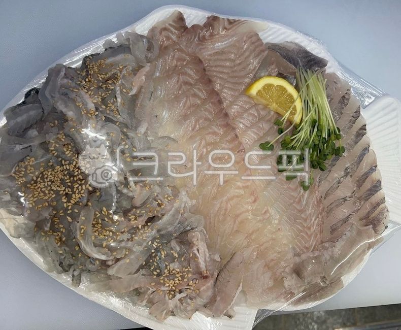 생선회, 광어회, 우럭회, 회, 모둠회, 사진,이미지,일러스트,캘리그라피 - llpark작가