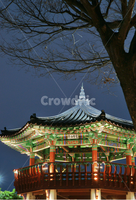 팔각정,응봉산,정자,누각,응봉산정,쉼터,전망대,야경,밤,풍경,nightscape,night,landscape,한국전통,한국문화,korean traditional,korean culture,건축물,건물외관,exterior,building,structure,architecture,construction
