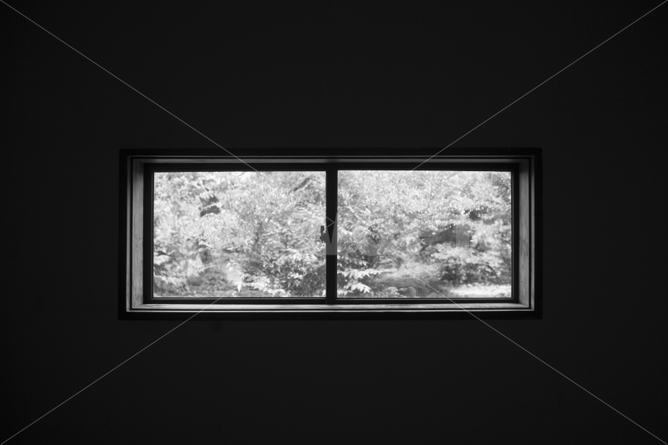 창문,빛,빛과어둠,대비,소경,흑백,창,창틀,흑백,모노톤,monochrome,black and white,인테리어,실내디자인,interior design