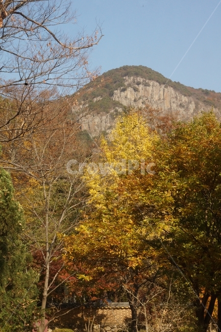 nature,자연,tree,나무,plant,식물,outdoors,가을,fall,autumn,가을빛,autumnaltints,mountain,산,언덕,hill,바위,rock,boulder,단풍,fallfoliage,autumncolors