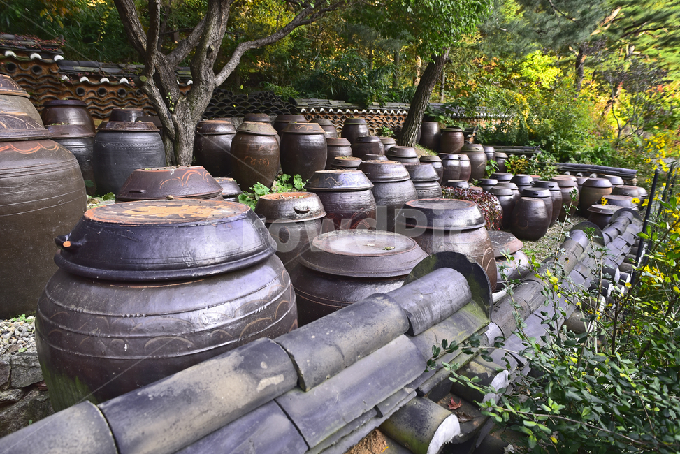 한국전통,장독대,질그릇,토기,전통문화,기왓장,기와,울타리,돌담,뚜껑,간장독,된장독,고추장독,옹기,koreantraditional,earthenware,한국적,뜰,나무,숲,landscape,한국전통,한국문화,korean traditional,korean culture