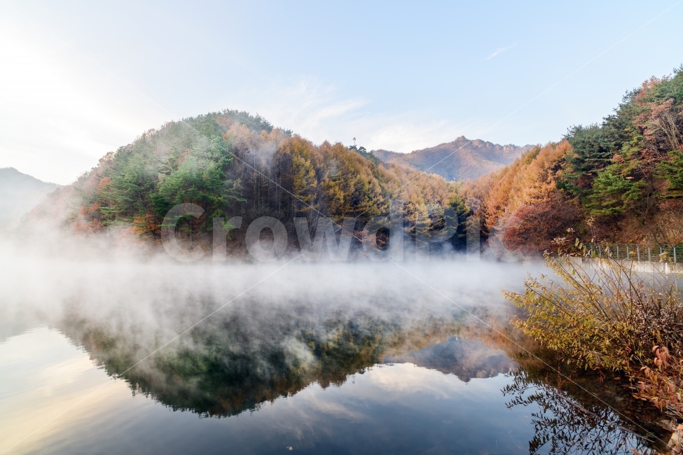 풍경,아침안개,반영,가을,단풍,감성,가을,계절,fall,autumn,season,자연,풍경,nature,landscape,한국자연풍경,한국자연경관,korea nature landscape,outdoors,옥외,water,물