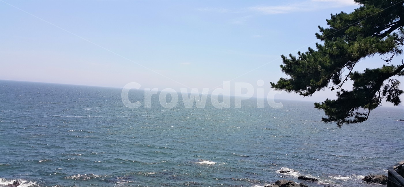 부산,바다,여름,풍경,자연,배경,busan,sea,summer,scenery,nature,background,자연,풍경,nature,landscape,promontory,곶