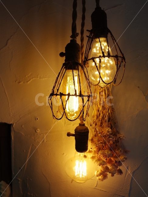 감성,풍경,꽃,빛,조명,전구,인테리어,실내디자인,interior design,사물,물건,오브젝트,thing,object,matter