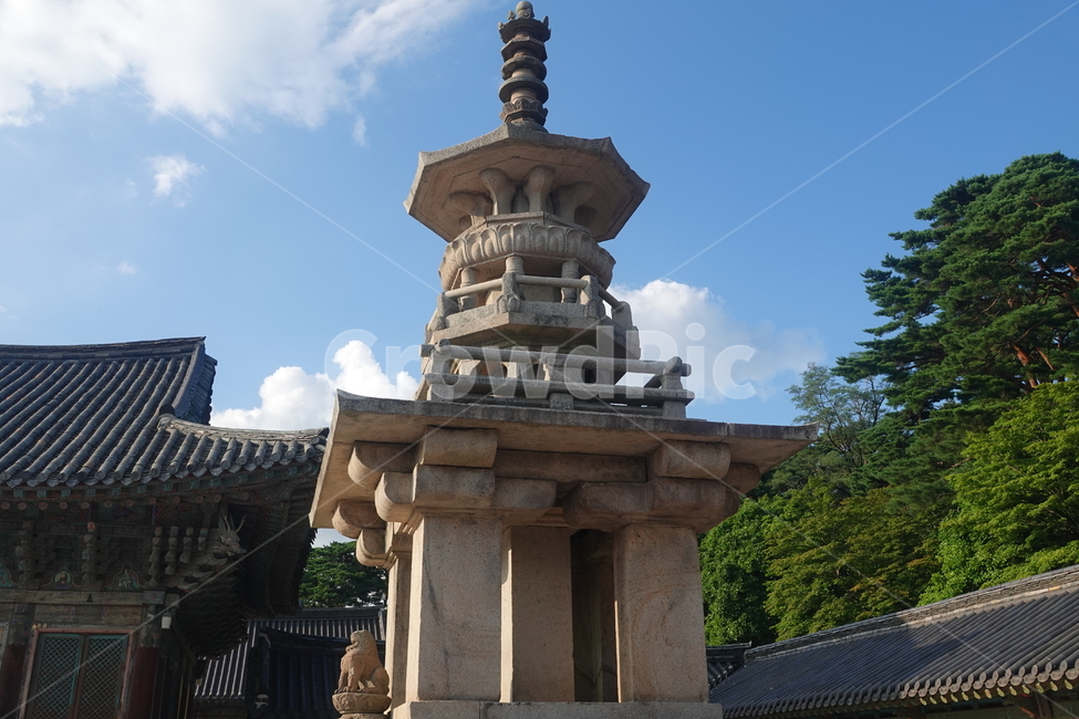 architecture,biolding,temple,human,person,worship,shrine,건축물,건물,신전,인간,사람,예배,신사,다보탑,경주