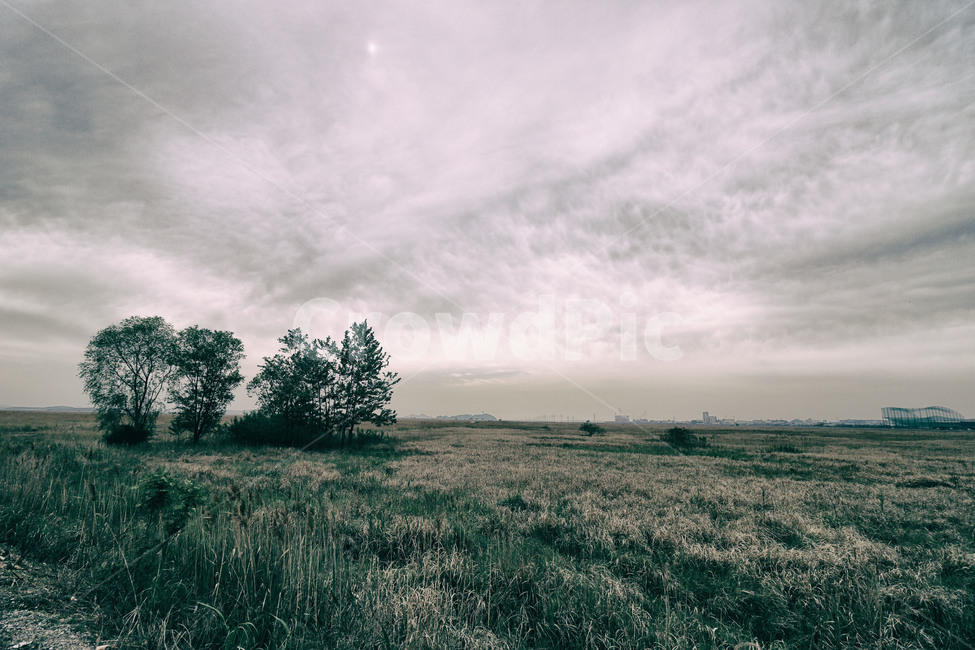 감성,자연,풍경,느낌,아날로그,자연,풍경,nature,landscape,outdoors,옥외
