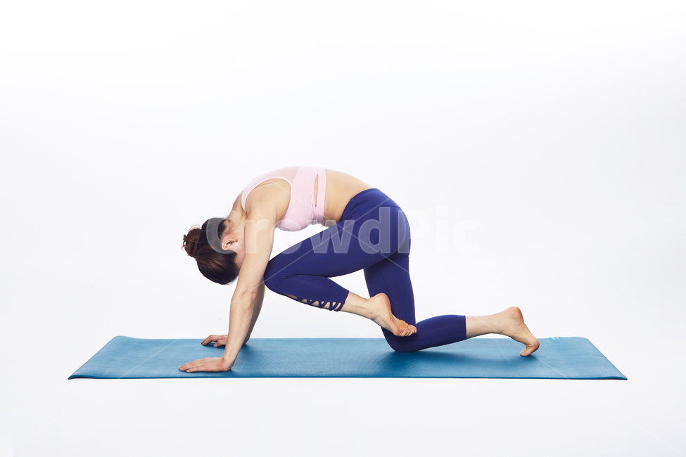 human,인간,fitness,운동,sports,스포츠,사람,yoga,요가,exercise,workingout,매트요가,근력운동,사람,인물,인간,human,person,여성,여자,woman,female,lady,스포츠,레저,운동,sports,leisure,exercise,건강,헬스웨어,헬스케어,healthware,health care
