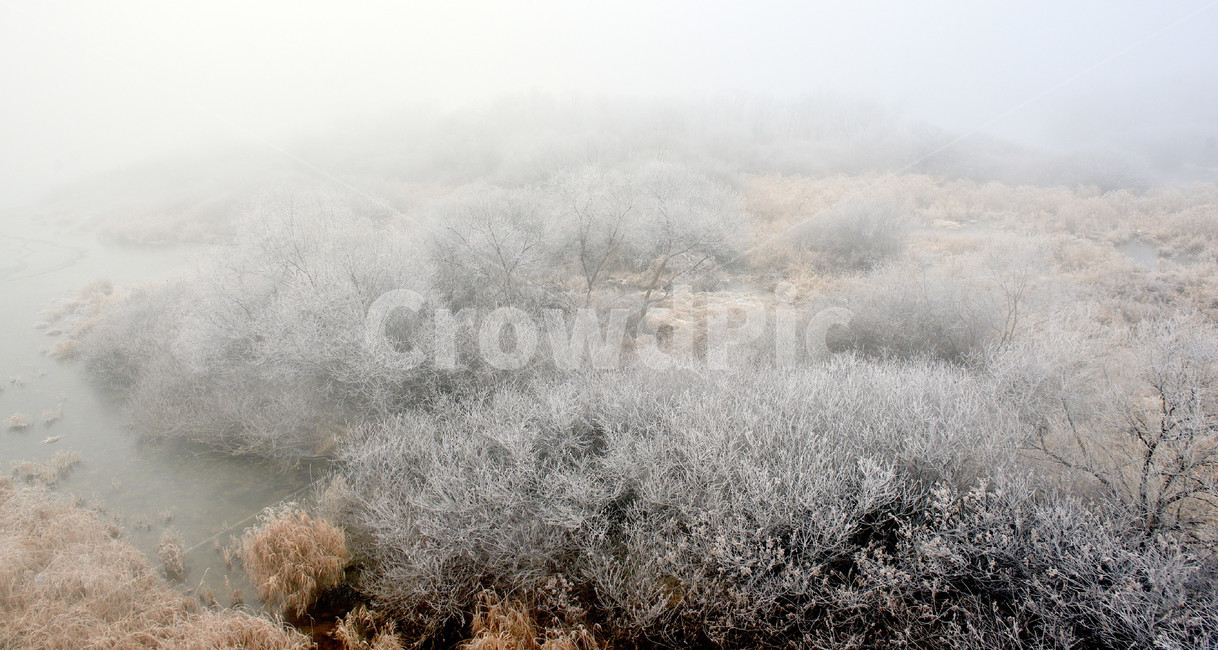 상고대,서리발,겨울,겨울풍경,서리,소양강,눈,나무,겨울,계절,winter,season,자연,풍경,nature,landscape,outdoors,옥외,snow,frost