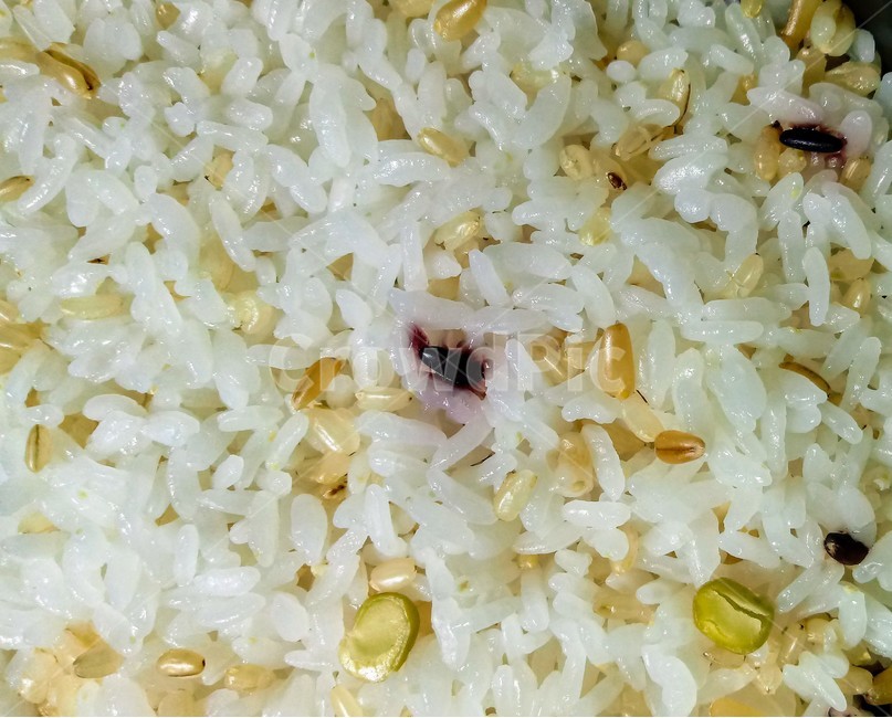 쌀,주식,밥,잡곡밥,음식,rice,food